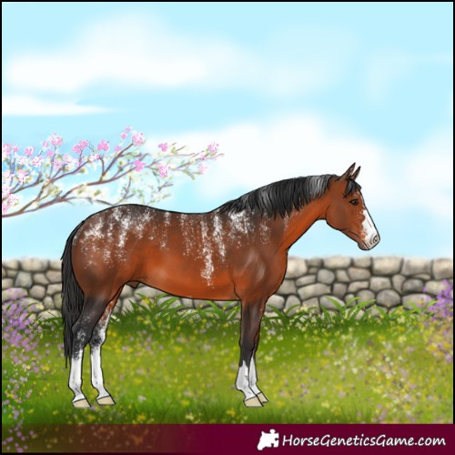 Horse Color:Powder White Brown 