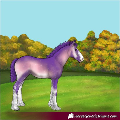 Horse Color:Watercolor Brown Onyx Sabino 