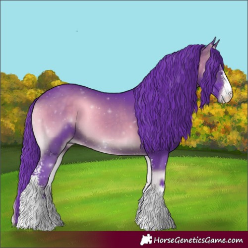 Horse Color:Watercolor Brown Onyx Sabino 
