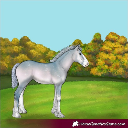 Horse Color:Watercolor Silver Brown Onyx Sabino 