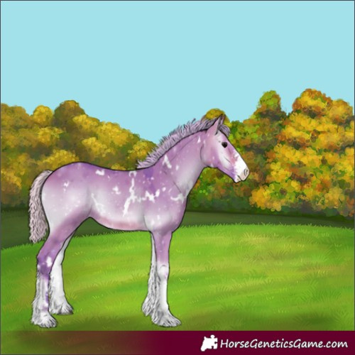 Horse Color:Watercolor White Spotted Silver Brown Onyx Sabino 