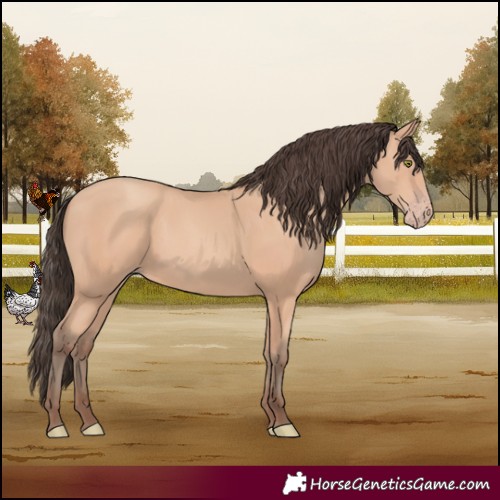 Horse Color:Amber Champagne 