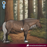 Horse Color:Silver Brown Dun Tobiano Rabicano