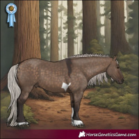 Horse Color:Silver Brown Dun Tobiano Rabicano 
