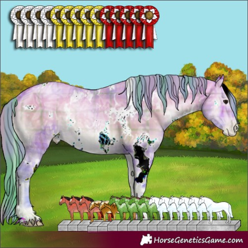 Horse Color:Watercolor Plaid  White Spotted Bay Ice Pearl Onyx 