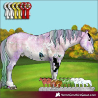 Horse Color:Watercolor Plaid  White Spotted Bay Ice Pearl Onyx 