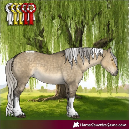 Horse Color:White Spotted Silver Buckskin Dun Tobiano 