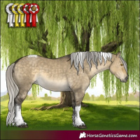 Horse Color:White Spotted Silver Buckskin Dun Tobiano 