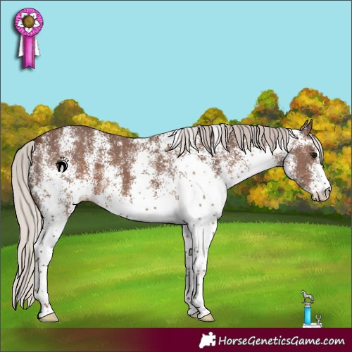 Horse Color:White Spotted Silver Black 