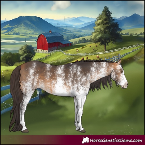 Horse Color:White Spotted Buckskin Rabicano 