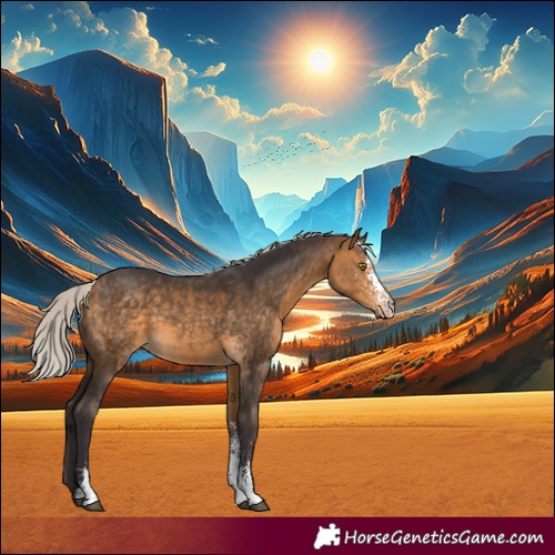 Horse Color:White Spotted Silver Buckskin 