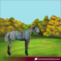 Horse Color:ERROR: UNKNOWN ANOMALY