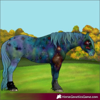 Horse Color:ERROR: UNKNOWN ANOMALY