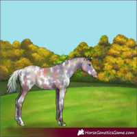 Horse Color:Nacre White Spotted Classic Champagne Dun 