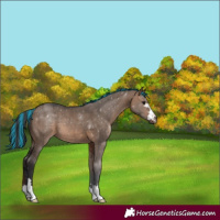 Horse Color:Painted Brown Dun 