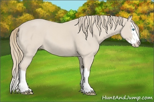 Horse Color:Smoky Creme Splash 