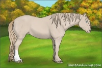 Horse Color:Smoky Creme 