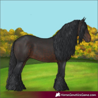 Horse Color:Unknown 