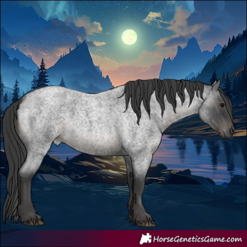Horse Color:Blue Roan 