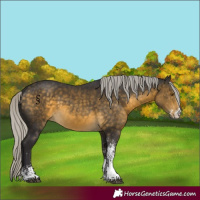 Horse Color:White Spotted Silver Buckskin Rabicano 
