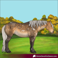 Horse Color:White Spotted Silver Buckskin Rabicano 