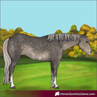 Horse Color:Silver Smoky Black Sabino 