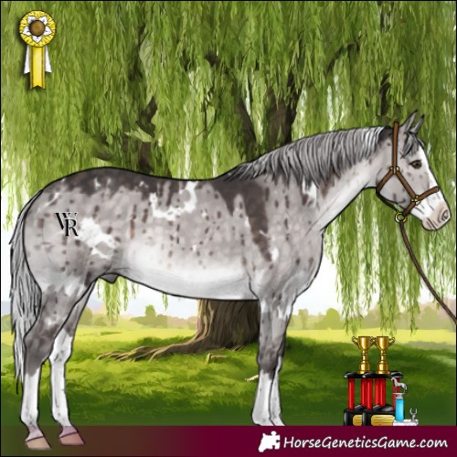 Horse Color:Platinum White Spotted Silver Brown Dun Splash Rabicano Brindle
