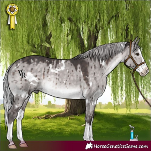 Horse Color:Platinum White Spotted Silver Brown Dun Splash Rabicano Brindle 