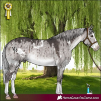 Horse Color:Platinum White Spotted Silver Brown Dun Splash Rabicano Brindle 