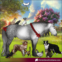 Horse Color:Gray White Spotted Liver Chestnut 