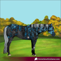 Horse Color:ERROR: UNKNOWN ANOMALY