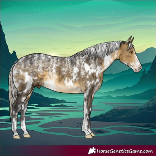 Horse Color:Powder White White Spotted Silver Buckskin Dun Brindle 
