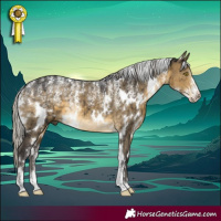 Horse Color:Powder White White Spotted Silver Buckskin Dun Brindle 