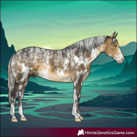 Horse Color:Powder White White Spotted Silver Buckskin Dun Brindle