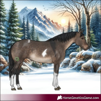 Horse Color:Brown Dun Tobiano Rabicano