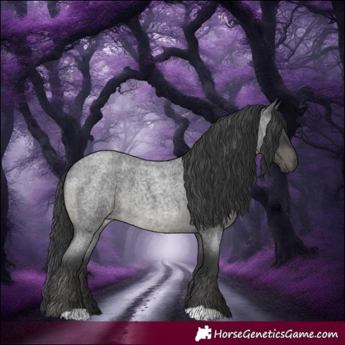 Horse Color:Blue Roan 