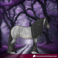 Horse Color:Blue Roan 