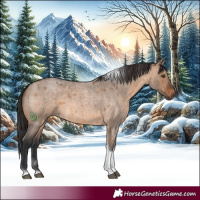 Horse Color:Brown Roan Dun Tobiano Rabicano