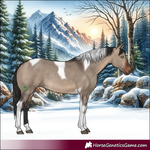 Horse Color:Brown Dun Tobiano Rabicano 