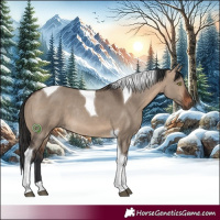 Horse Color:Brown Dun Tobiano Rabicano