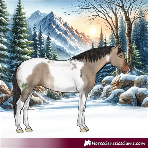Horse Color:Brown Dun Tobiano Rabicano