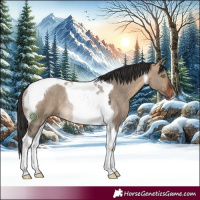 Horse Color:Brown Dun Tobiano Rabicano