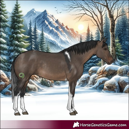 Horse Color:White Spotted Brown Dun Tobiano Rabicano