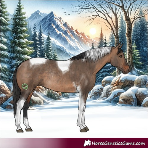 Horse Color:Brown Dun Tobiano Rabicano Brindle