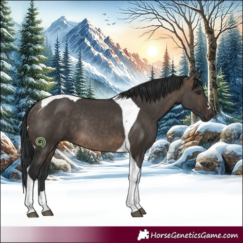 Horse Color:Brown Dun Tobiano Rabicano 