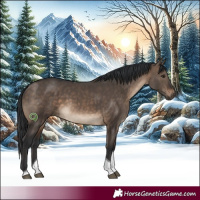 Horse Color:Brown Dun Tobiano Rabicano