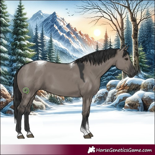 Horse Color:Grullo Tobiano Rabicano