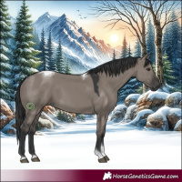 Horse Color:Grullo Tobiano Rabicano 