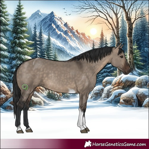 Horse Color:Brown Dun Tobiano Rabicano 