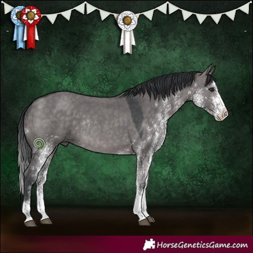 Horse Color:Platinum White Spotted Brown Dun Tobiano Rabicano 